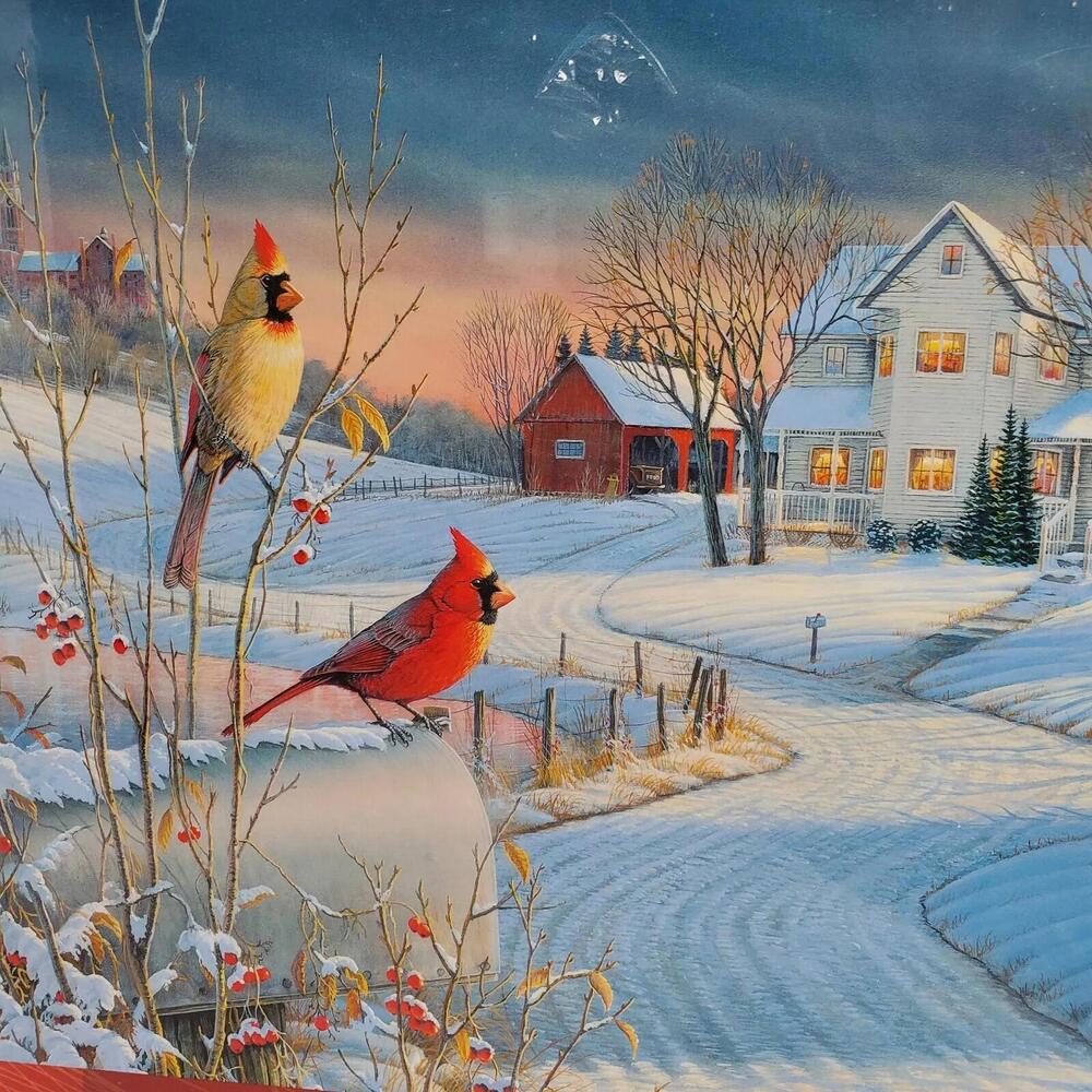 Country Cardinals 1000 Piece Eurographics Puzzle by Sam Timm Complete NEW READ